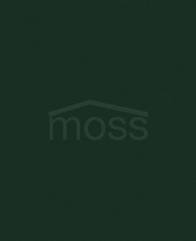 moss-placeholder-noise